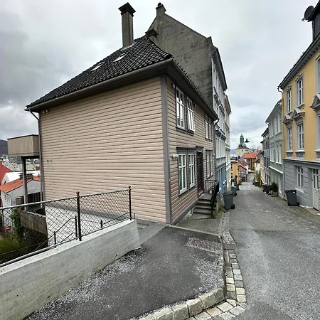 Sjarmerende Bolig Like Ved Togstasjonen * Bergen