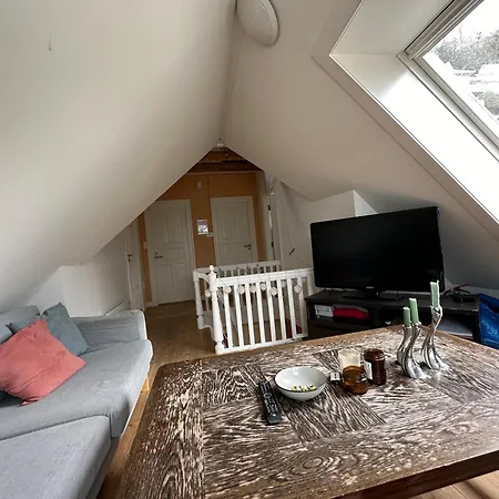 Sjarmerende Bolig Like Ved Togstasjonen Bergen