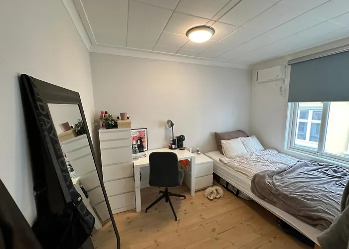 Sjarmerende Bolig Like Ved Togstasjonen Homestay Bergen
