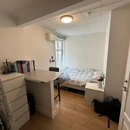 Sjarmerende Bolig Like Ved Togstasjonen Проживание в семье Берген