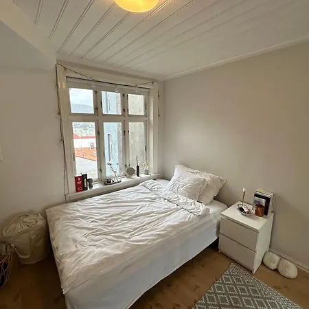 Sjarmerende Bolig Like Ved Togstasjonen * Берген